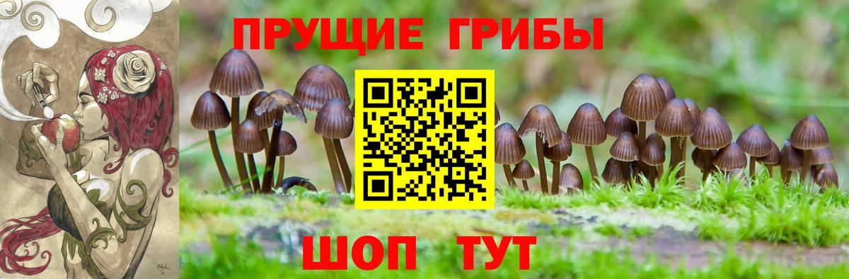 где купить   Псилоцибиновые грибы ЛСД  Вход с VPN  Великий Устюг 