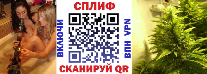 Конопля индика  Великий Устюг 